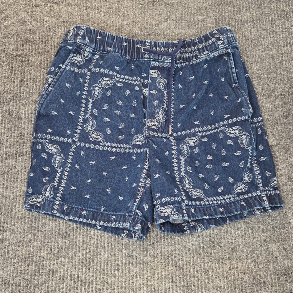 American Eagle Shorts Mens Small Blue Paisley Bandana Trekker Lived In Boho AE
